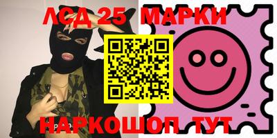 мдпв Кингисепп