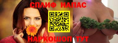 мдпв Кингисепп
