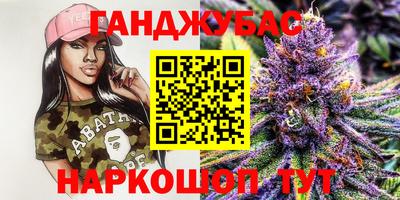 мдпв Кингисепп