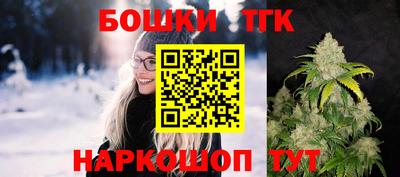 мдпв Кингисепп