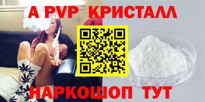 мдпв Кингисепп