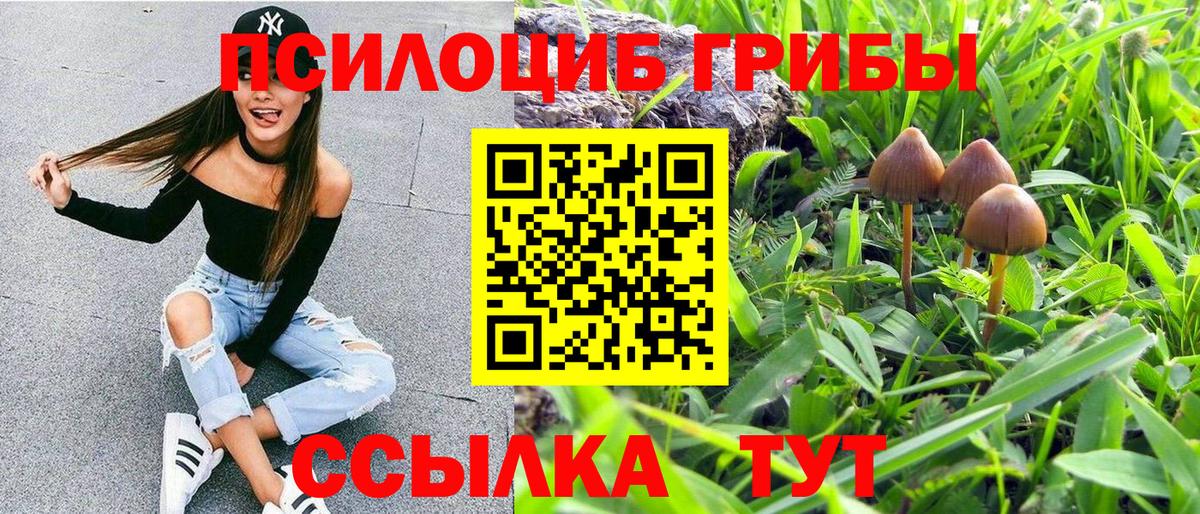 Галлюциногенные грибы MAGIC MUSHROOMS Полевской