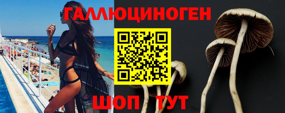 Псилоцибиновые грибы прущие грибы  Полевской  Галлюциногенные грибы мухоморы 
